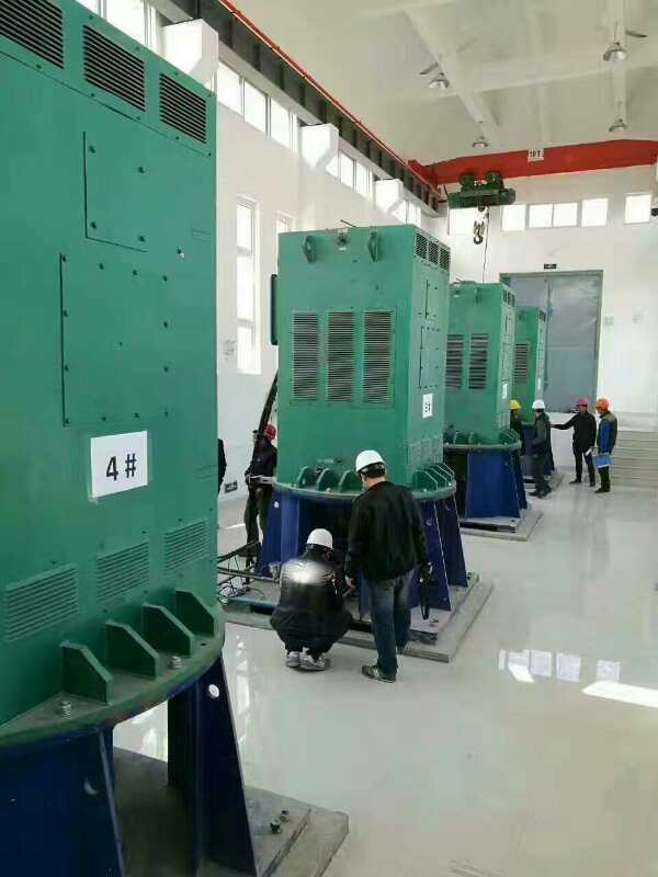 YKS6301-8某污水处理厂使用我厂的立式高压电机安装现场