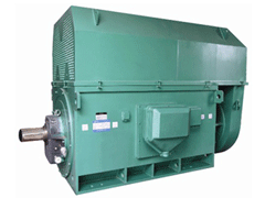 YKS6301-8YKK系列高压电机